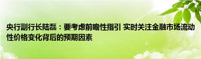 央行副行长陆磊:要考虑前瞻性指引 实时关注金融市场流动性价格变化背后的预期因素