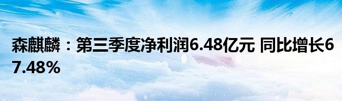 森麒麟:第三季度净利润6.48亿元 同比增长67.48%