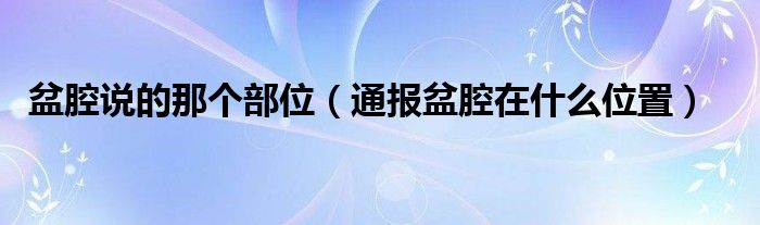 盆腔说的那个部位(通报盆腔在什么位置)