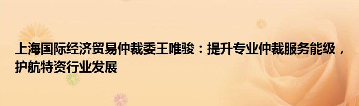 上海国际经济贸易仲裁委王唯骏:提升专业仲裁服务能级,护航特资行业发展