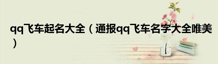 qq飞车起名大全(通报qq飞车名字大全唯美)