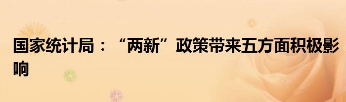 国家统计局:“两新”政策带来五方面积极影响