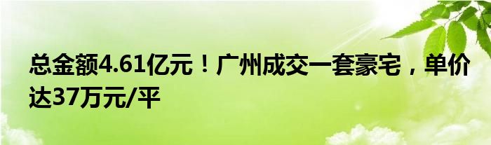 总金额4.61亿元!广州成交一套豪宅,单价达37万元/平