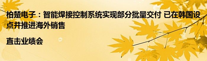 柏楚电子:智能焊接控制系统实现部分批量交付 已在韩国设点并推进海外销售|直击业绩会