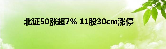 北证50涨超7% 11股30cm涨停