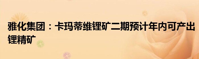 雅化集团:卡玛蒂维锂矿二期预计年内可产出锂精矿
