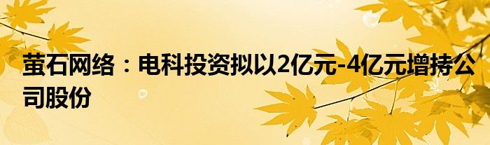 萤石网络:电科投资拟以2亿元-4亿元增持公司股份