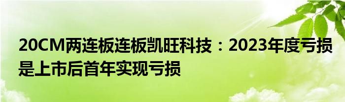 20CM两连板连板凯旺科技:2023年度亏损是上市后首年实现亏损