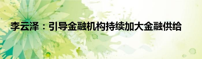 李云泽:引导金融机构持续加大金融供给