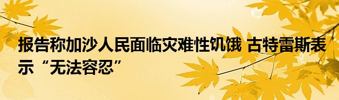 报告称加沙人民面临灾难性饥饿 古特雷斯表示“无法容忍”