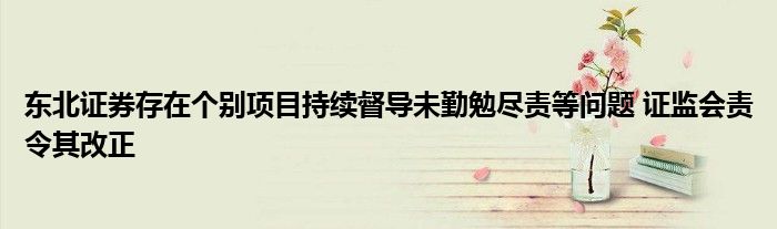 东北证券存在个别项目持续督导未勤勉尽责等问题 证监会责令其改正