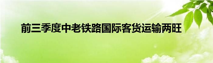 前三季度中老铁路国际客货运输两旺