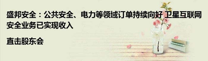 盛邦安全:公共安全、电力等领域订单持续向好 卫星互联网安全业务已实现收入|直击股东会