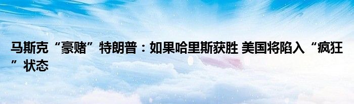 马斯克“豪赌”特朗普:如果哈里斯获胜 美国将陷入“疯狂”状态