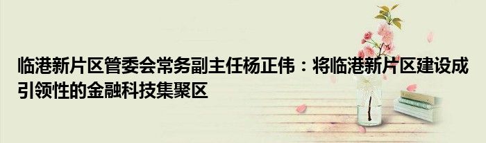 临港新片区管委会常务副主任杨正伟:将临港新片区建设成引领性的金融科技集聚区