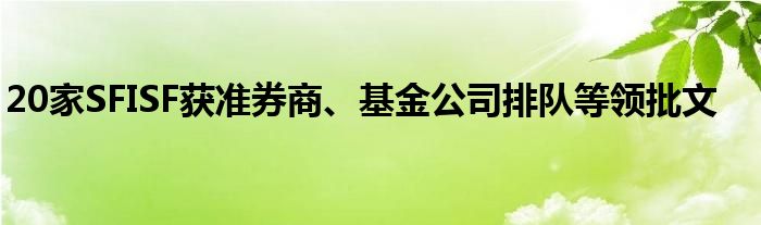 20家SFISF获准券商、基金公司排队等领批文