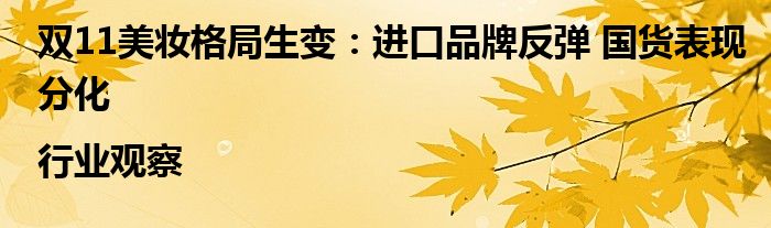 双11美妆格局生变:进口品牌反弹 国货表现分化|行业观察