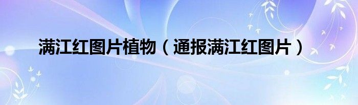 满江红图片植物(通报满江红图片)