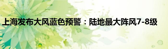 上海发布大风蓝色预警:陆地最大阵风7-8级