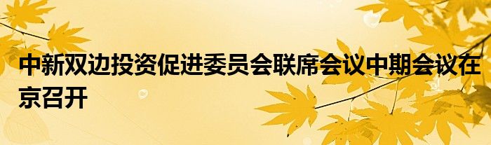 中新双边投资促进委员会联席会议中期会议在京召开