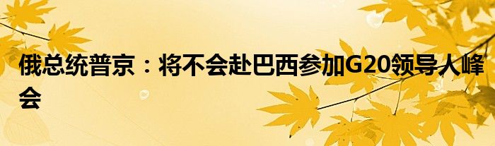 俄总统普京:将不会赴巴西参加G20领导人峰会