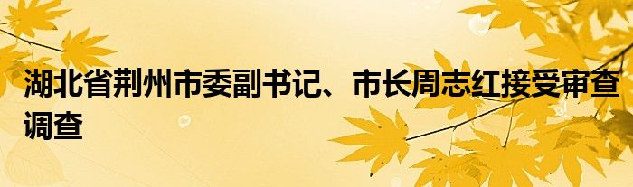 湖北省荆州市委副书记、市长周志红接受审查调查