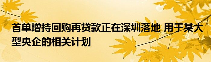 首单增持回购再贷款正在深圳落地 用于某大型央企的相关计划