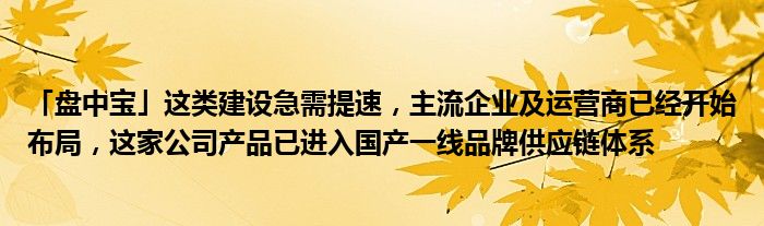 「盘中宝」这类建设急需提速,主流企业及运营商已经开始布局,这家公司产品已进入国产一线品牌供应链体系
