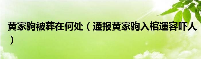 黄家驹被葬在何处(通报黄家驹入棺遗容吓人)