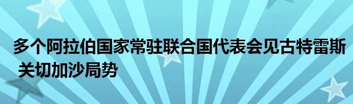 多个阿拉伯国家常驻联合国代表会见古特雷斯 关切加沙局势