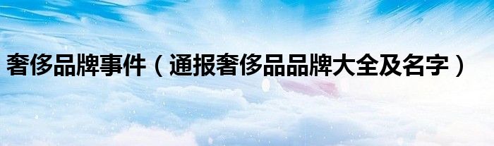奢侈品牌事件(通报奢侈品品牌大全及名字)
