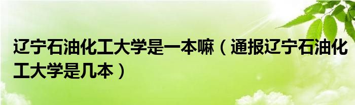 辽宁石油化工大学是一本嘛(通报辽宁石油化工大学是几本)