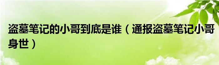 盗墓笔记的小哥到底是谁(通报盗墓笔记小哥身世)