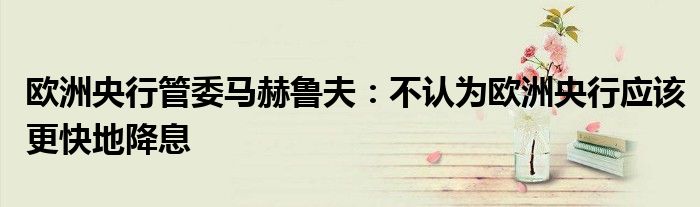 欧洲央行管委马赫鲁夫:不认为欧洲央行应该更快地降息