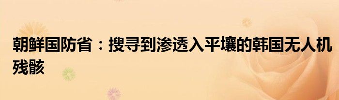朝鲜国防省:搜寻到渗透入平壤的韩国无人机残骸