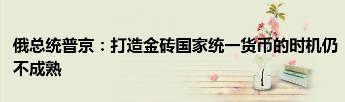俄总统普京:打造金砖国家统一货币的时机仍不成熟