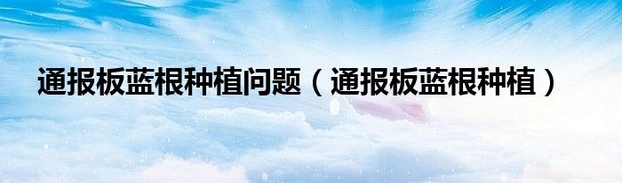 通报板蓝根种植问题(通报板蓝根种植)