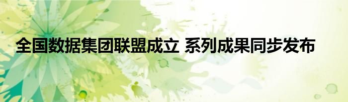 全国数据集团联盟成立 系列成果同步发布