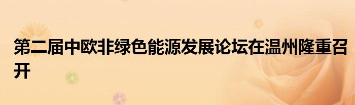 第二届中欧非绿色能源发展论坛在温州隆重召开