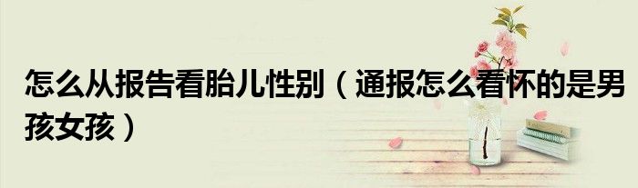 怎么从报告看胎儿性别(通报怎么看怀的是男孩女孩)