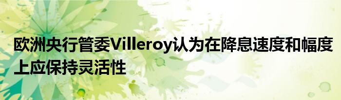 欧洲央行管委Villeroy认为在降息速度和幅度上应保持灵活性