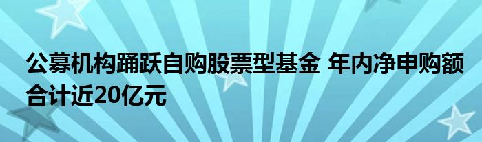 公募机构踊跃自购股票型基金 年内净申购额合计近20亿元