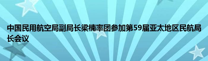 中国民用航空局副局长梁楠率团参加第59届亚太地区民航局长会议