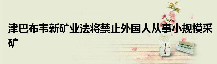 津巴布韦新矿业法将禁止外国人从事小规模采矿