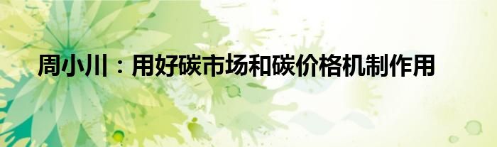 周小川:用好碳市场和碳价格机制作用