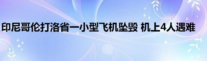 印尼哥伦打洛省一小型飞机坠毁 机上4人遇难