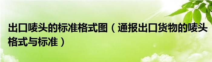 出口唛头的标准格式图(通报出口货物的唛头格式与标准)