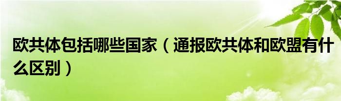 欧共体包括哪些国家(通报欧共体和欧盟有什么区别)