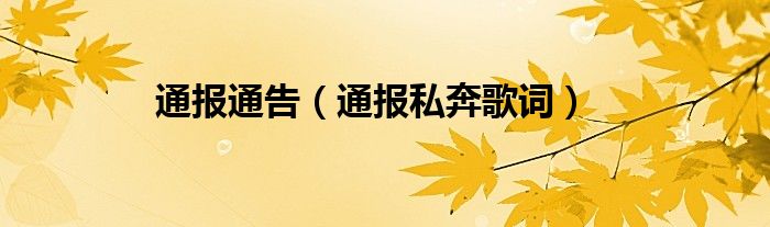通报通告（通报私奔歌词）