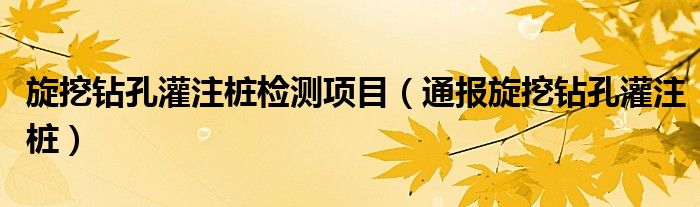 旋挖钻孔灌注桩检测项目(通报旋挖钻孔灌注桩)